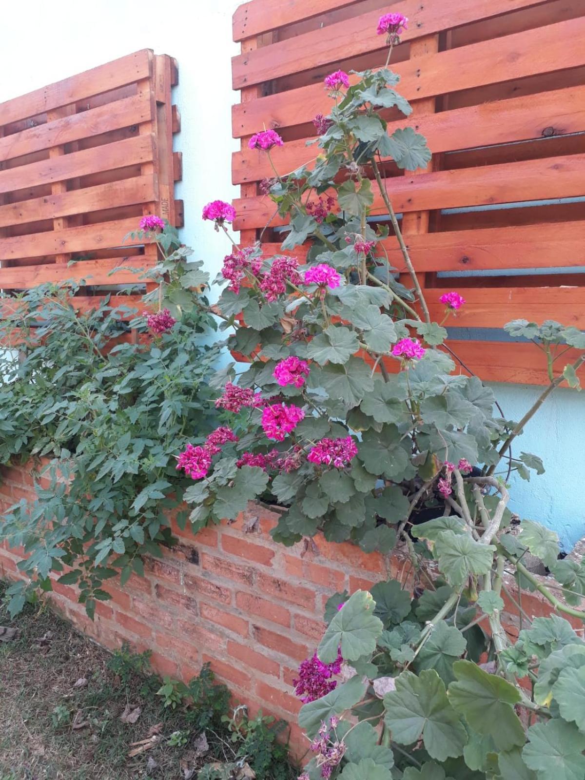 Chacara Recanto Suico Piracicaba Villa Esterno foto